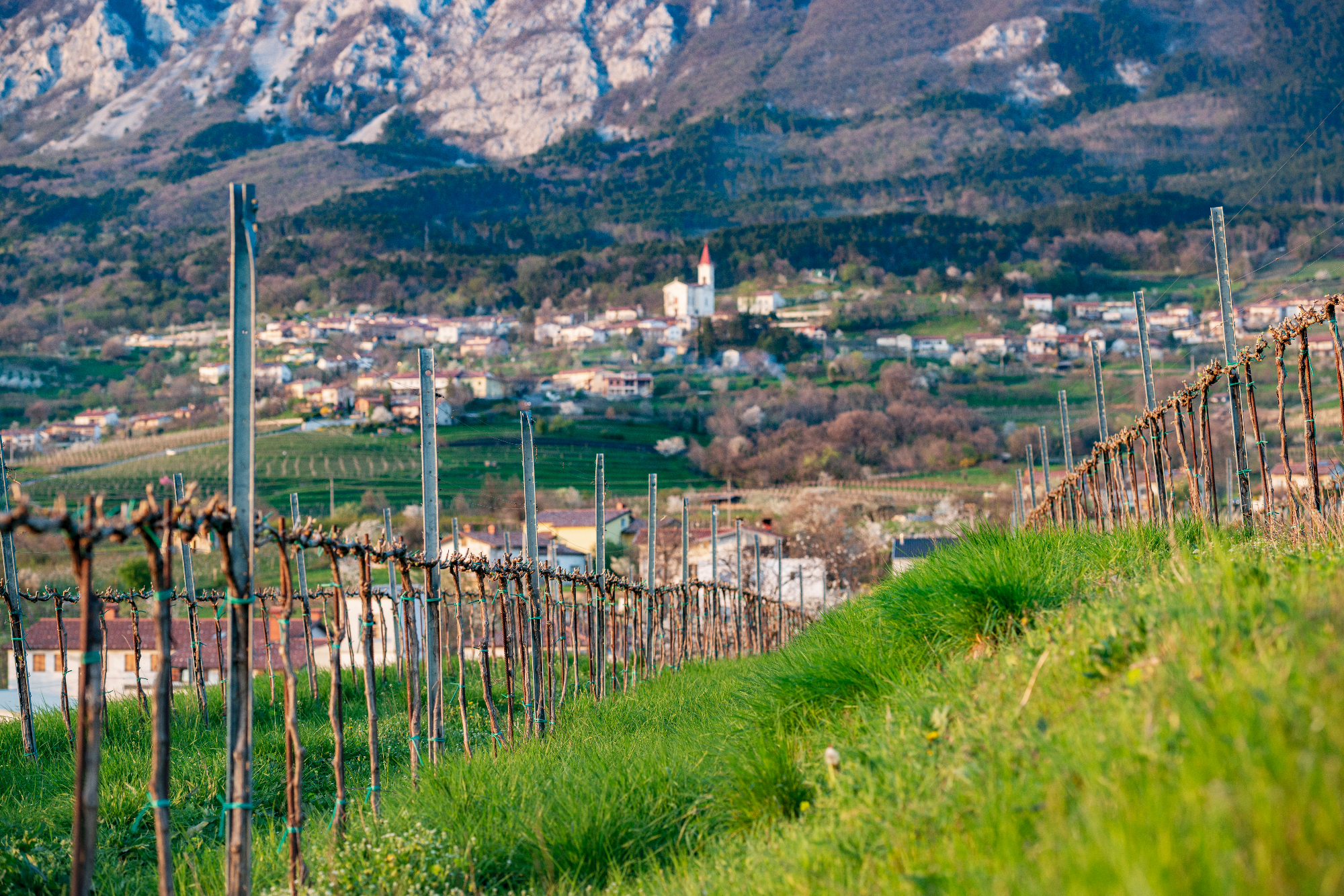 Vipavska dolina ponuja veliko več, kot si ljudje predstavljajo