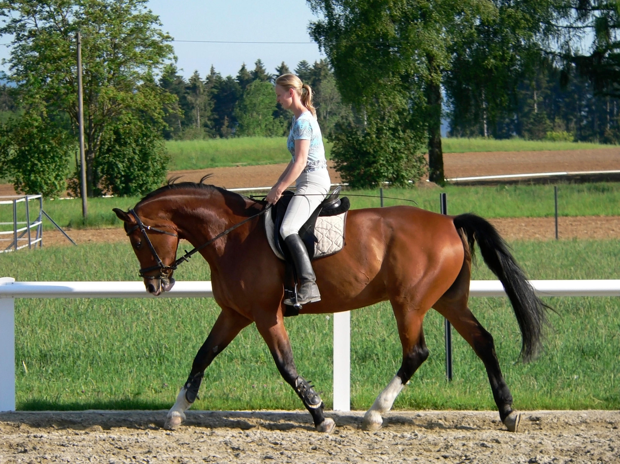 Jahanje konj me onostavno osrečuje